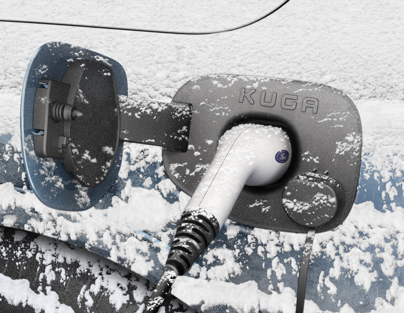 Genuine Charging Port Winter Cover - 2630163