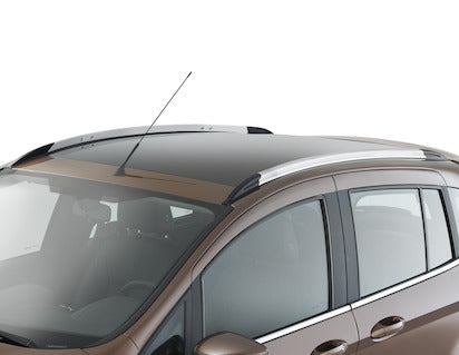 Genuine Roof Rails Silver/Black - 2002327