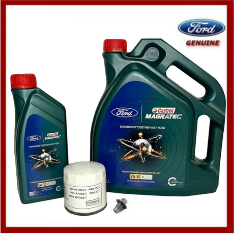 Genuine Ford Transit Custom 2.2 TDCI Oil Service Kit Inc Castrol 5w30