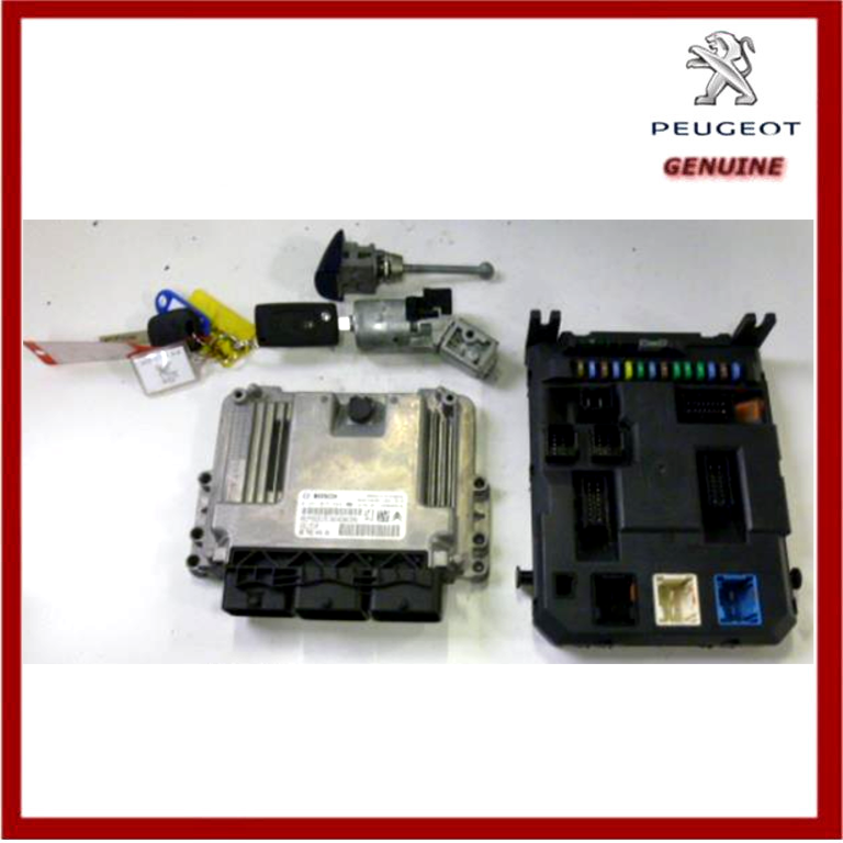 Genuine Peugeot 207 Turbo Diesel Injection Electronic Calculator 1944J7 New!