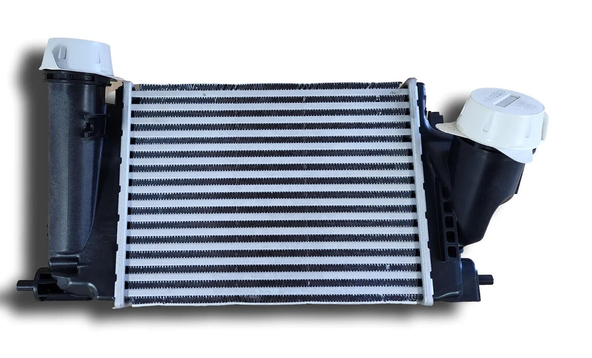 Genuine Nissan Fuel Hose N16446JG70B New!