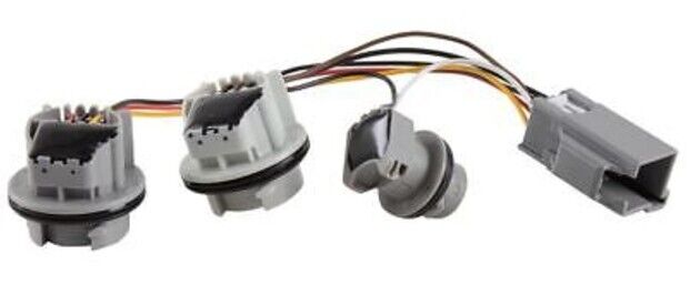 Genuine Ford Fiesta 2013 - 2019  Bulb Holder - Tailgate Light Cluster