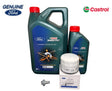 Genuine Ford Transit Custom 2.5L Duratec Petrol Hybrid Service Kit
