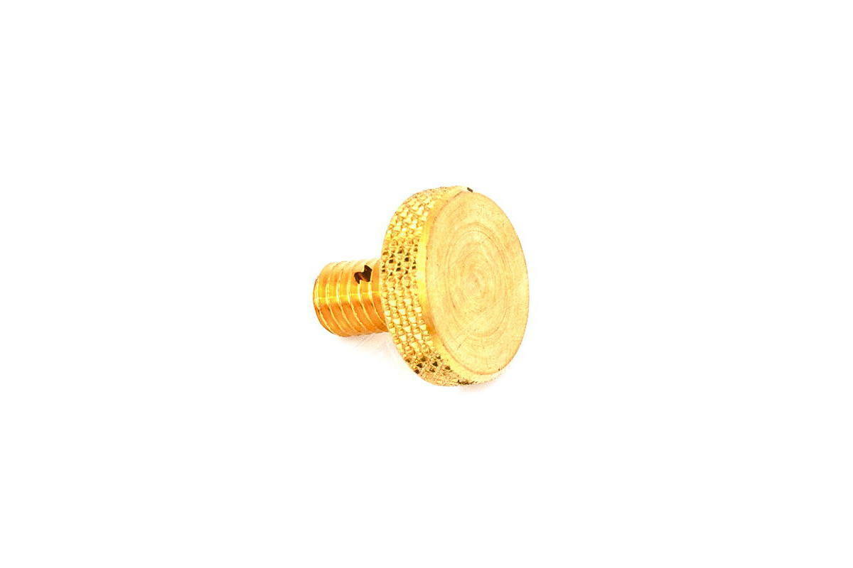 Genuine Renault Clio, Megane, Kangoo, Scenic Valve Plug