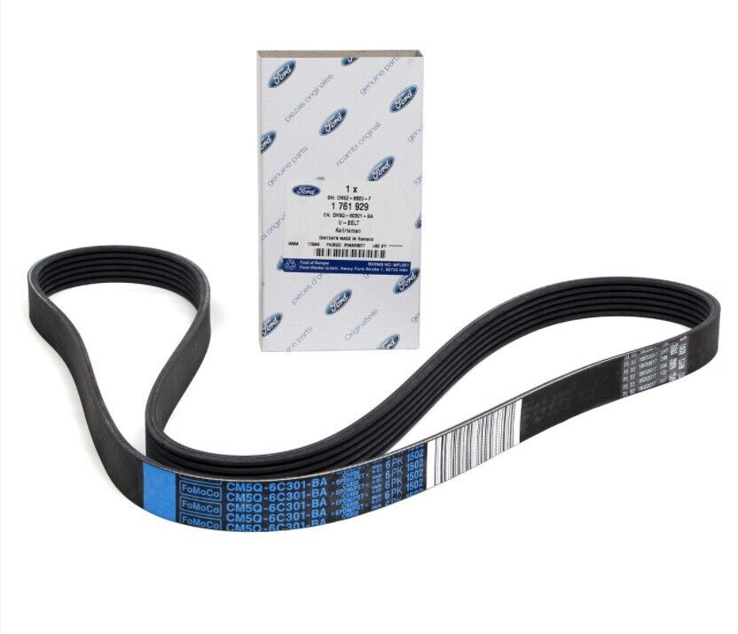 Genuine Ford 1.0 Ecoboost Fiesta, Ecosport, Focus Alternator Belt 1761929