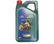 Genuine Ford Castrol 0W30 Oil 5 LITRE Magnatec Professional 1343831 New!