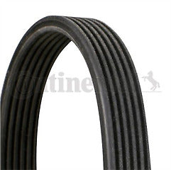 ContiTech - DRIVE BELT - 6DPK1697 - Fits: Doublesided Drive Belt 6PK1697