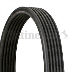 ContiTech - DRIVE BELT - 6DPK1825 - Fits: Drive Belt 6PK1825
