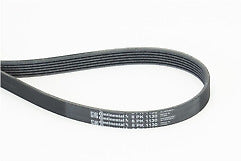 ContiTech - DRIVE BELT - 6PK1130 - Fits: Drive Belt 6PK1130