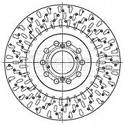 Borg & Beck - BRAKE DISC SINGLE - BBD6184S - Fits: Civic IX 2.0i V-TEC Type R 08/15-