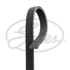 ContiTech - DRIVE BELT - 6DPK1817 - Fits: Doublesided Drive Belt 6PK1817