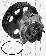 Key Parts - WATER PUMP W/GASKET - KCP2032 - Fits: Vauxhall Corsa II, Fiat Punto