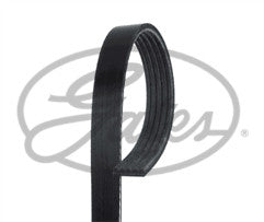 ContiTech - DRIVE BELT - 5PK1330 - Fits: Drive Belt 5PK1330