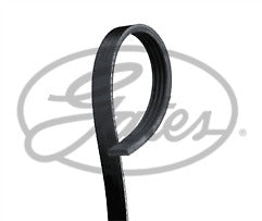 ContiTech - DRIVE BELT - 4PK1360 - Fits: Drive Belt 4PK1360