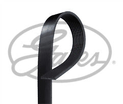 ContiTech - DRIVE BELT - 8PK2035 - Fits: Mercedes M Class