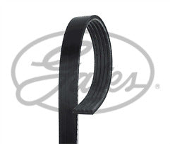 ContiTech - DRIVE BELT - 5PK880 - Fits: Opel Signum 2.0 Turbo
