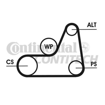 ContiTech - DRIVE BELT - 6PK1042ELAST - Fits: Ford fiesta V 1.4,1.6 01-