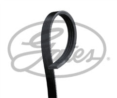 ContiTech - DRIVE BELT - 4PK850 - Fits: Drive Belt 4PK0850