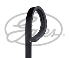 ContiTech - DRIVE BELT - 3PK890 - Fits: Drive Belt 3PK0890