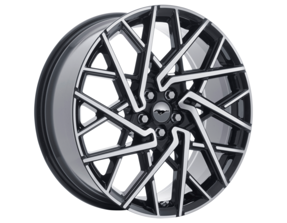 Genuine Alloy Wheel 20" 10 x 2-spoke design, Black Machined