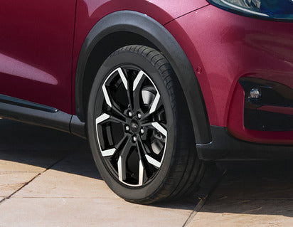 Genuine Alloy Wheel 18" 5 x 2-spoke Y design, Absolute Black - 2590152