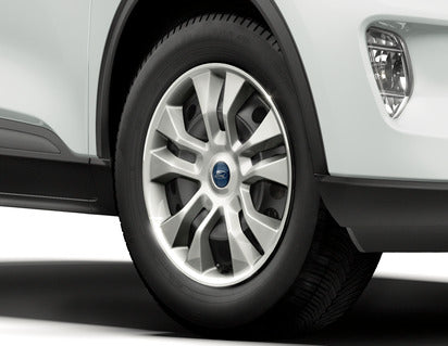 Genuine Wheel Cover 17" - 2462052