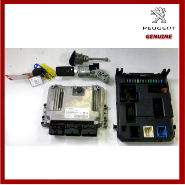 Genuine Peugeot 207 Turbo Diesel Injection Electronic Calculator 1944J7 New!