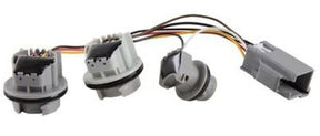 Genuine Ford Fiesta 2013 - 2019  Bulb Holder - Tailgate Light Cluster