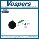 Genuine Ford Fiesta MK7 08-12 Interior Front Door Handle Screw Cover Plate x1