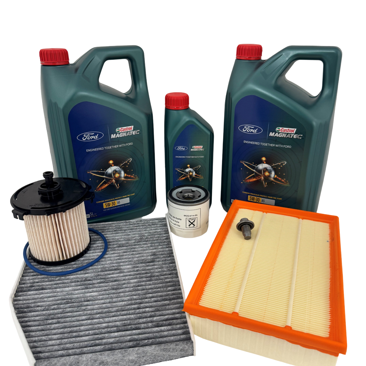 Genuine Ford Transit 2.2 MK8 RWD Full Service Kit inc Castrol Oil ...