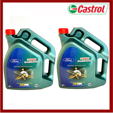 Castrol 5W30 Oil 10 LITRE Magnatec Professional 1239870 New!