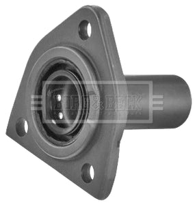 Borg & Beck - GUIDE TUBE - HKD0006 - Fits: PSA Berlingo, 206, 207, 306