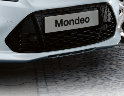 Genuine Front Grille lower part - 1703009