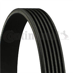 ContiTech - DRIVE BELT - 6PK923 - Fits: Drive Belt 6PK0923