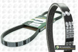 ContiTech - DRIVE BELT - 4PK800 - Fits: Drive Belt 4PK0800
