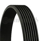 ContiTech - DRIVE BELT - 7PK1635 - Fits: Drive Belt 7PK1635