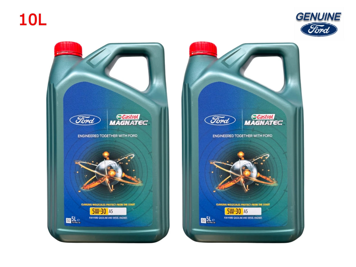 Castrol 5W30 Oil 10 LITRE Magnatec Professional 1239870 New!