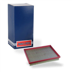 Borg & Beck - AIR FILTER - BFA2589 - Fits: FOCUS 1.0 ECOBOOST 2018-