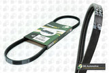 ContiTech - DRIVE BELT - 3PK890 - Fits: Drive Belt 3PK0890