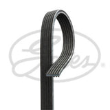 ContiTech - DRIVE BELT - 6DPK1817 - Fits: Doublesided Drive Belt 6PK1817