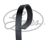 ContiTech - DRIVE BELT - 6PK1200 - Fits: Drive Belt 6PK1200