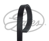 ContiTech - DRIVE BELT - 5PK1330 - Fits: Drive Belt 5PK1330