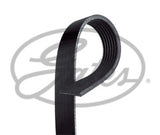 ContiTech - DRIVE BELT - 7PK1125 - Fits: Drive Belt 7PK1125