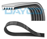 ContiTech - DRIVE BELT - 5PK1125 - Fits: Drive Belt 5PK1125