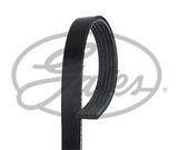 ContiTech - DRIVE BELT - 5PK880 - Fits: Opel Signum 2.0 Turbo